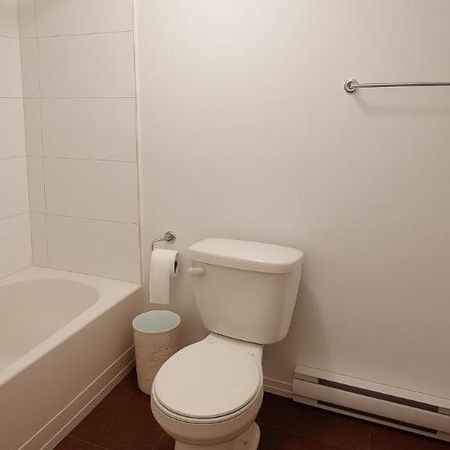 1 CH - 1 SDB - Montréal - $1,220 /mo - Photo 4