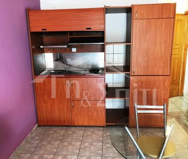 Γκαρσονιέρα προς ενοικίαση 350 € - Photo 1