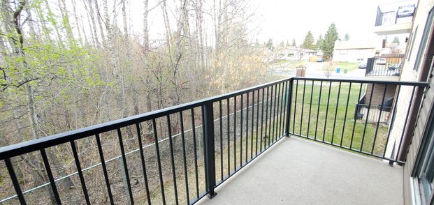 Fantastic Find! Well Maintained Building! Spacious 2 BED Apartment - Photo 1