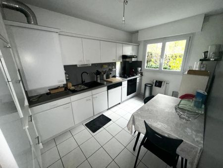 Appartement T2 à louer Rennes centre ville - 29 m² - Photo 3