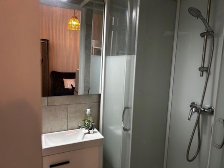 Location Appartement 1 pièce 12m² VICHY 03200 - Photo 5