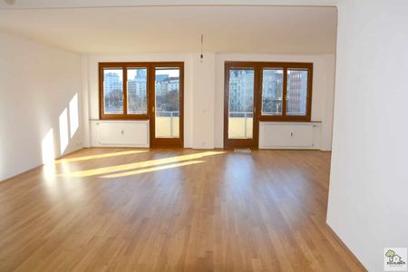 Innenstadt Apartment 131m² Nähe Schwedenplatz - Photo 3