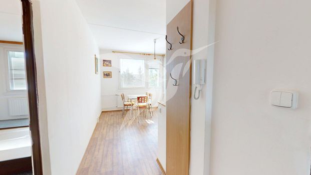 Pronájem bytu 1+1 39 m² - Photo 1