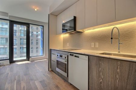 Appartement à louer - Montréal (Ville-Marie) (Mille Carré Doré) - Photo 5