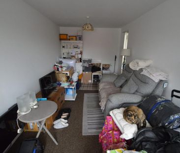 1 bedroom ground floor flat to rent - Photo 3