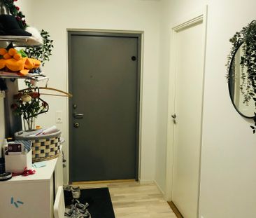 Femstenavägen, Bro - Foto 4