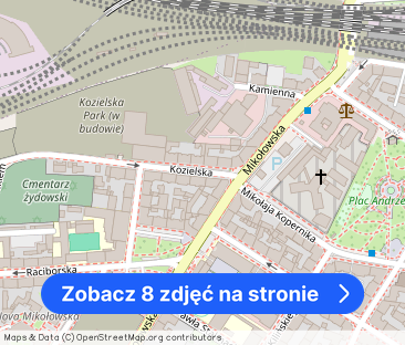 Duże mieszkanie w centrum Katowic - Zdjęcie 1