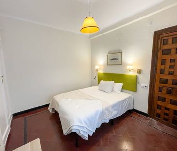 Calle Miguel Mañara, Sevilla, Andalusia 41004 - Photo 3