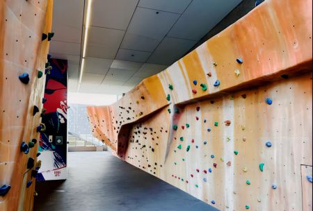 2 Bedroom - Master Room - Photo 2