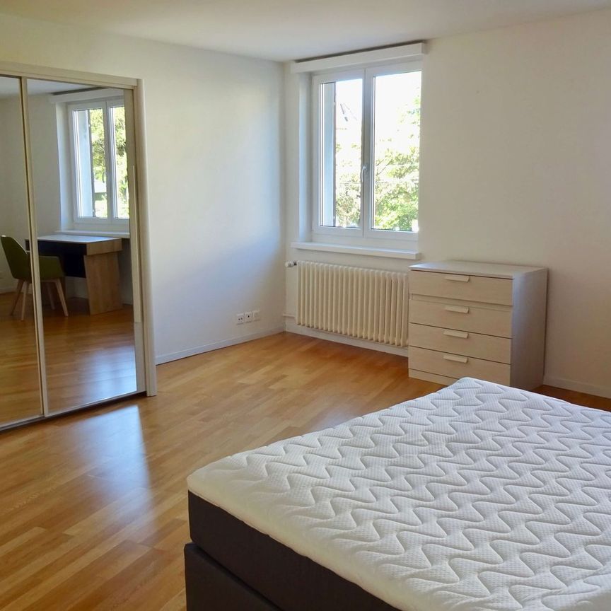 Cozy 1.5-Room Studio for Rent – Sunny & Well-Connected Location in Zürich - Photo 1