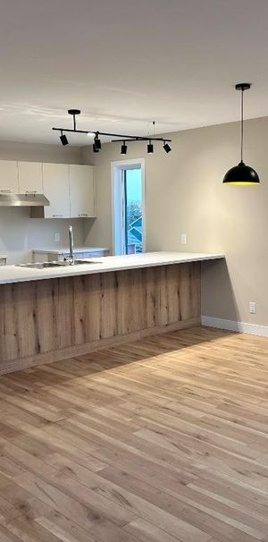 4 1/2 neuf à louer - Photo 1