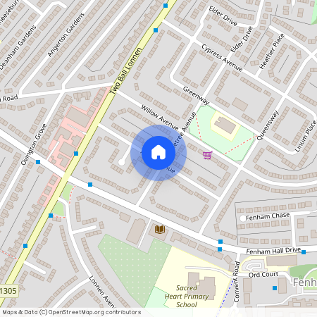 Alder Avenue, Fenham