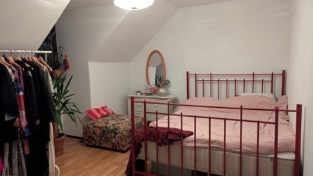 Hasselgatan, Malmö - Foto 2