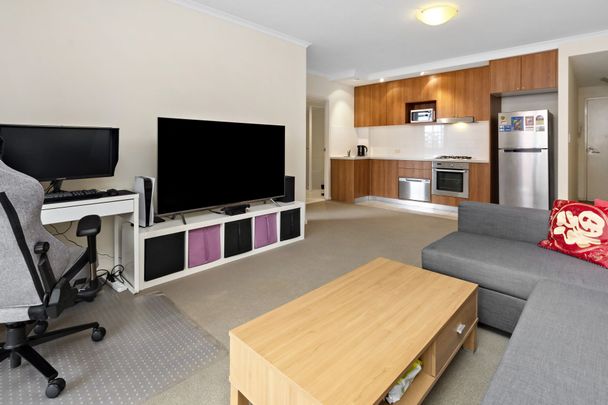 Executive apartment overlooking Mark Taylor Oval - Photo 1