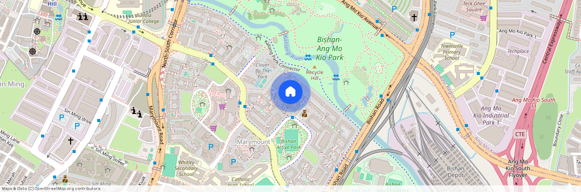 226 Bishan Street 23 (570226), Singapore