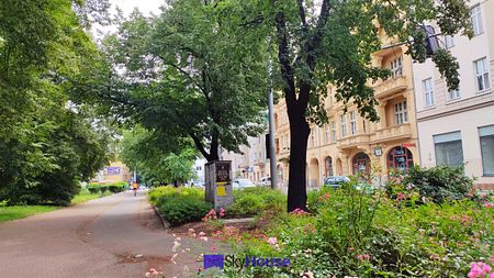 Wrocław, Stare Miasto, Tadeusza Kościuszki - Photo 4