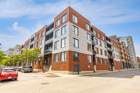 Appartement à louer - Montréal (Ville-Marie) (Centre) - Photo 5