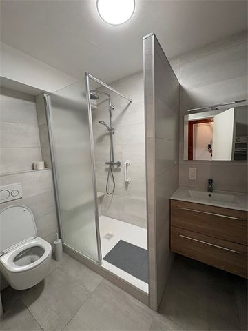 Location Appartement 1 pièce 31m² - Photo 4