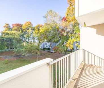 Appartement T3 de 62,56m2 - Photo 5