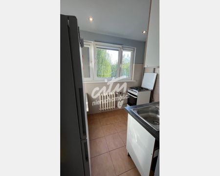 Szczecin - Фото 5