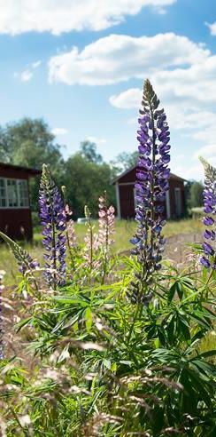 Stationsvägen 2E, Vena - Photo 1