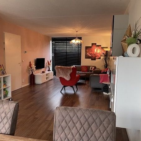 Zandbaars, 31, 5658BS, Eindhoven - Foto 1