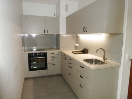 Location Appartement 1 pièce 32m² FONTAINEBLEAU 77300 - Photo 3
