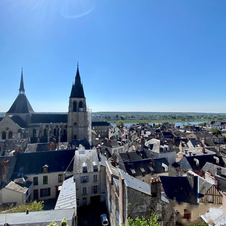 BLOIS - Coup de coeur - Photo 1
