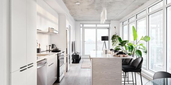 2 chambres - 388 Boulevard Saint-Joseph, Gatineau - Photo 3