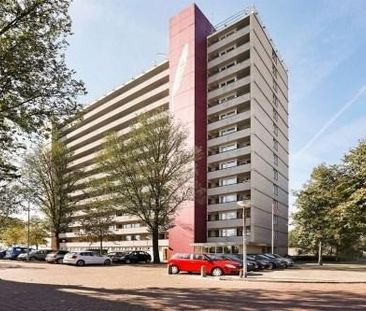 Socrateslaan 0ong, 5216 BM 's-Hertogenbosch, Nederland - Foto 2