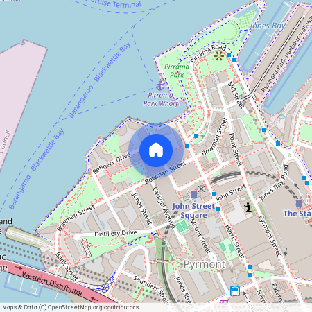 413/66 Bowman Street, Pyrmont NSW 2009