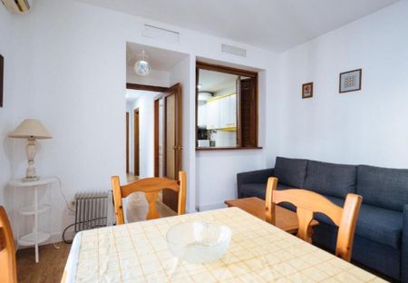 Calle Alfonso XII, Sevilla, Andalusia 41001 - Photo 4