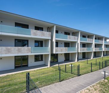 WIENER NEUSTADT XI/1 - Photo 6