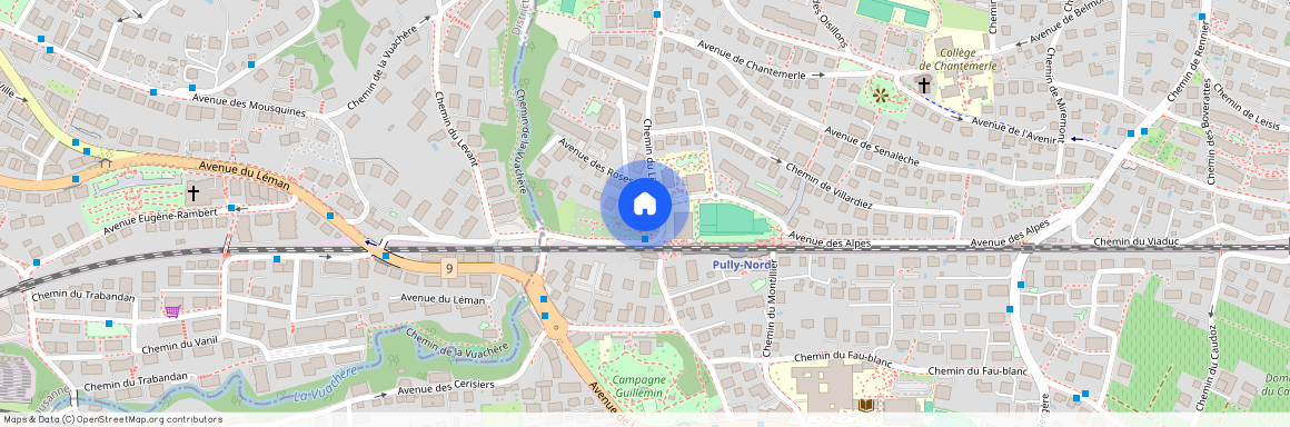 1009, Pully, Avenue Des Roses, 1