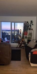 4 demi + Bureau/DROIT chiens et chats - Photo 3