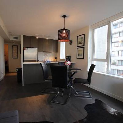 Bright, Spacious, Furnished 1 Bed 1 Bath Apartment Rental, Downtown - Photo 3