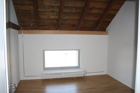 MIETEN OHNE KAUTION - Geräumige Loftwohnung im Haldengut-Areal - Photo 4