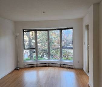 1 bed 1 bath spacious apartment in richmond center - Photo 4