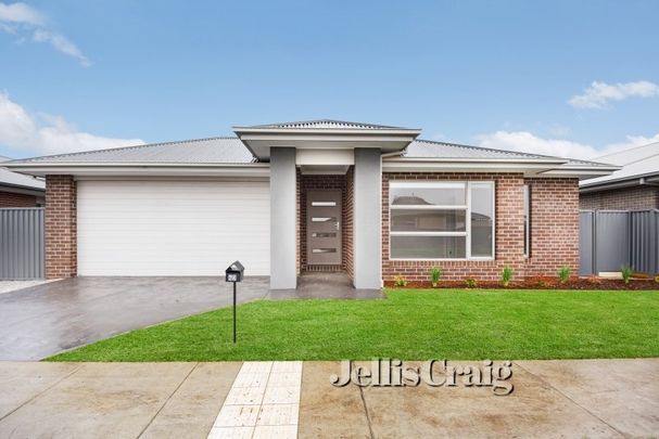 43 Wexford Street, Alfredton - Photo 1