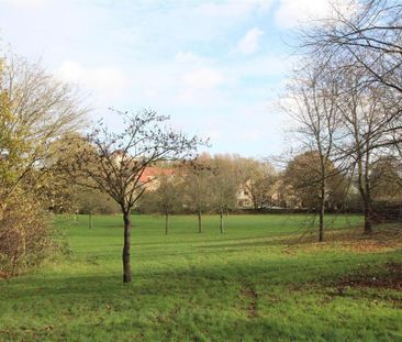 1 bedroom property to rent - Photo 6