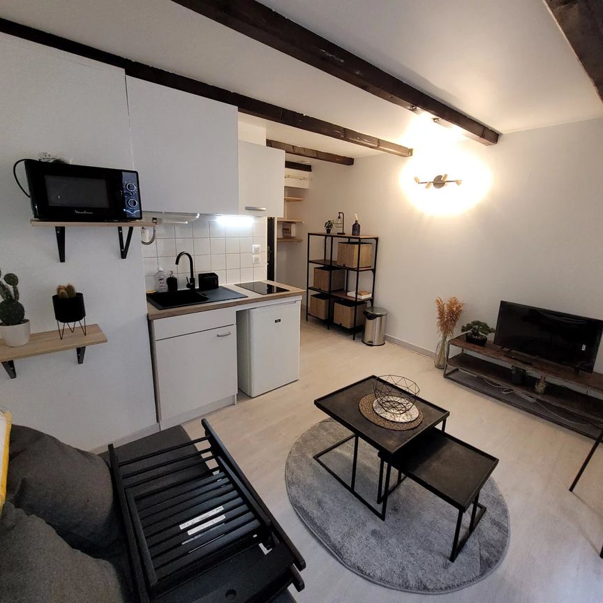 Location Appartement 1 pièce 17m² AIX EN PROVENCE 13100 - Photo 1
