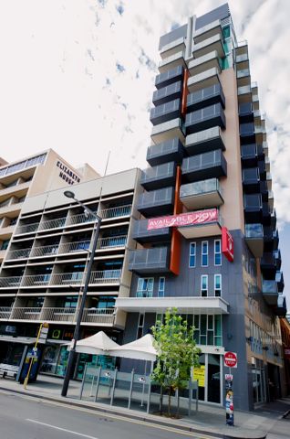 1Bedroom within a 3 Bedroom apt (Level 9-14) - Photo 5