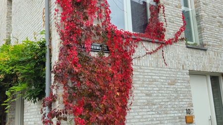 Te huur: Huis De Vloeienwacht 8 in Maastricht - Foto 3