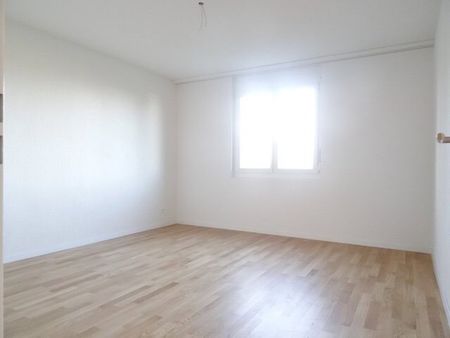 3.5 Zimmer, 81 m², 1. Stock - Photo 5