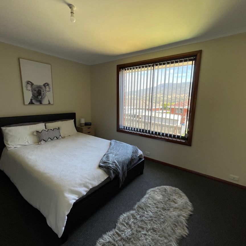 Spacious Family Home - Photo 1