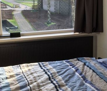 Residentie Dirty-A - Foto 6