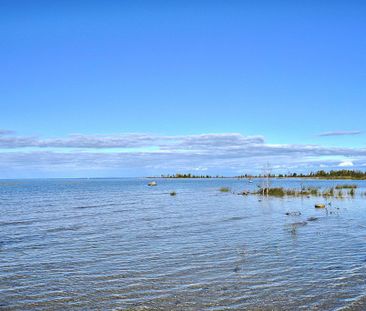 For Lease - 50 Trott Boulevard, Collingwood, Ontario - Photo 2