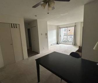 Available January1st, One bedroom with balcony - Photo 2