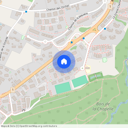 GRAND-CHEMIN 41, 1066, Epalinges