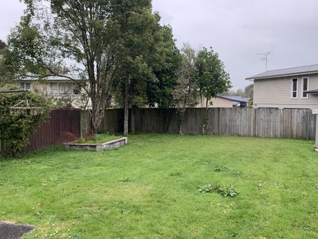 Hillcrest Honey - Hillcrest - Photo 5